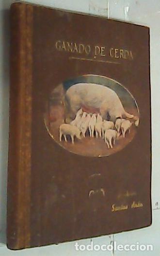 books: Ganado de cerda. Explotaci&oacute;n e industrializaci&oacute;n del cerdo. Razas reproducci&oacute;n. Porquerizas. Aliment