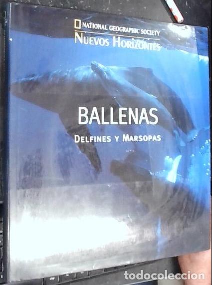 books: Ballenas, delfines y marsopas - Autores Varios: