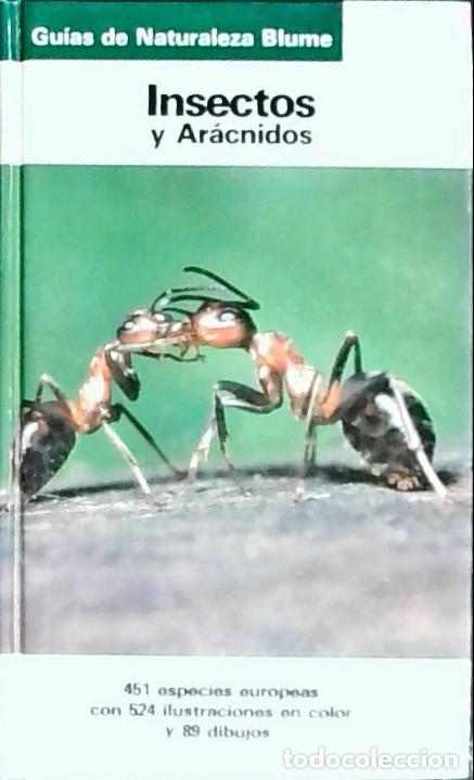 Libros: Insectos y ar&aacute;cnidos - Reichholf Riehm, Helgard: