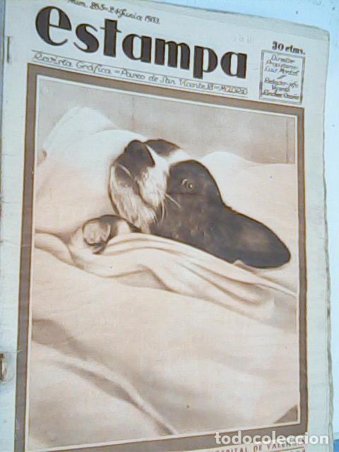 Libros: LA perrita que se present&oacute; en el hospital de Valencia - REVISTA: