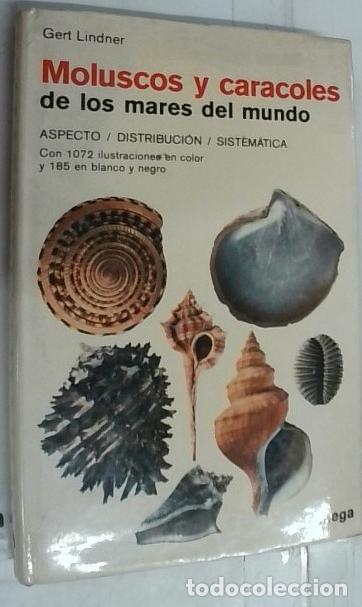 books: Moluscos y caracoles de los mares del mundo. Aspecto. Distribuci&oacute;n. Sistem&aacute;tica - Lindner, Gert: