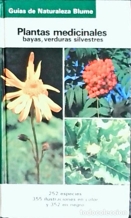 B&uuml;cher: Plantas medicinales : bayas, verduras silvestres - Grau, J&uuml;rke Jung: