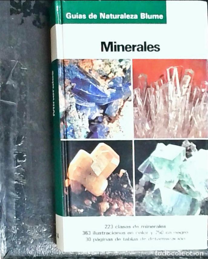Libros: Minerales - Medenbach, Olafich, Frederic: