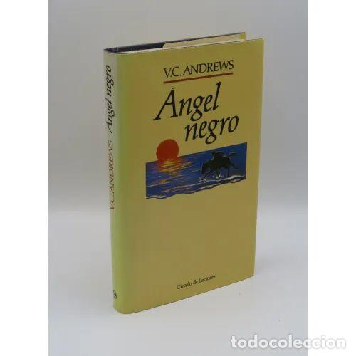 Libri di seconda mano: EL &Aacute;NGEL NEGRO - HIDALGO, NIEVES - Sin Especificar