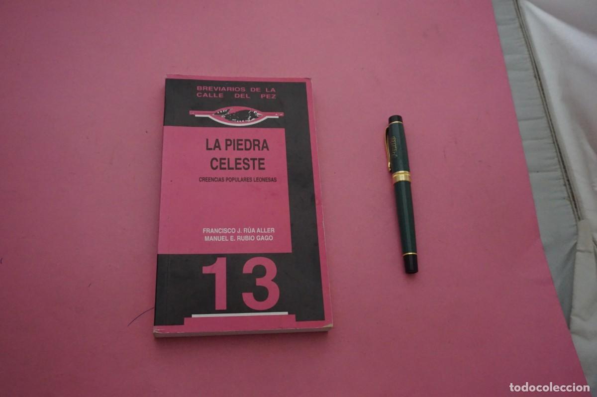 Libros: AMF-34C/ LA PIEDRA CELESTE - FRANCISCO J. RUA ALLER / DIPUTACION DE LEON