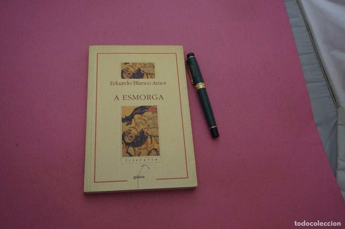 Libros: AMF-34C/ A ESMORGA - EDUARDO BLANCO AMOR / EDITORIAL GALAXIA