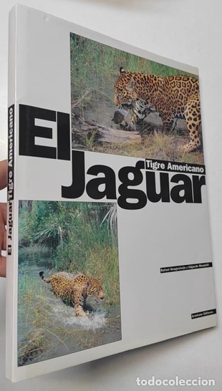 Libros: El jaguar. Tigre americano - Rafael Hoogesteijn, Edgardo Mondolfi