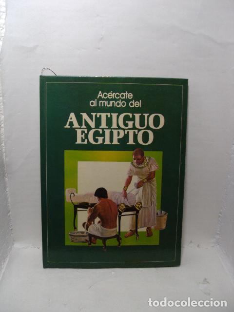 Libros: ANTIGUO EGIPTO - Boase, Wendy