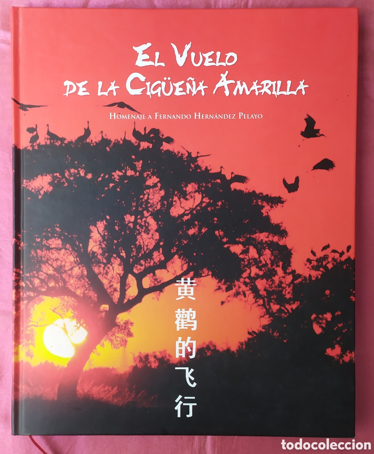Libros: El vuelo de la cig&uuml;e&ntilde;a amarilla, Homenaje a Fernando Hern&aacute;ndez Pelayo