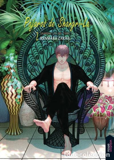 Libros: P&aacute;jaros de Shangri-La 2- 9788416936656