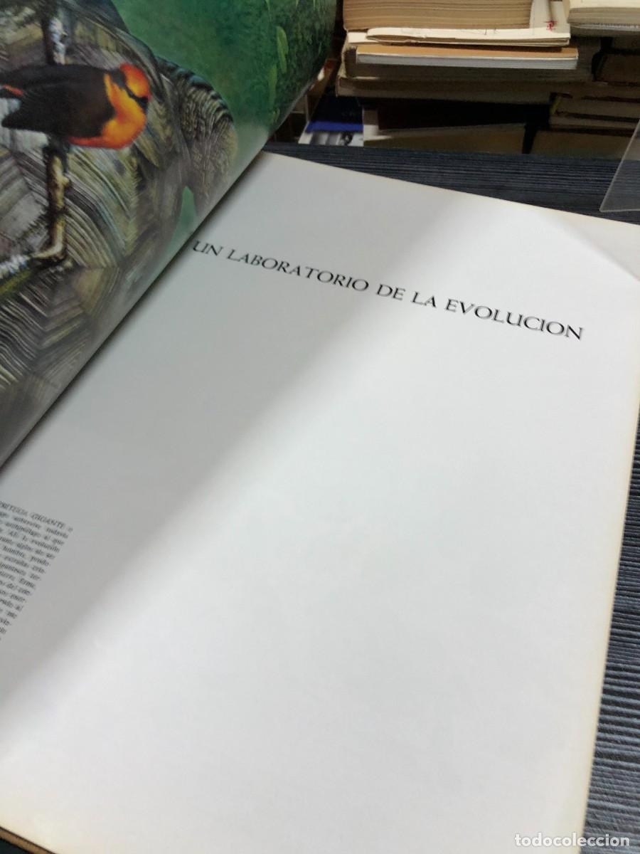 Libros: Las maravillas de la vida Editorial Luis Miracle / LIFE - Foto 3