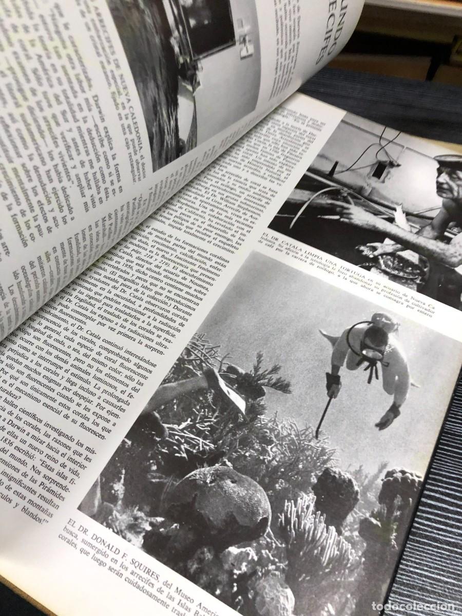 Libros: Las maravillas de la vida Editorial Luis Miracle / LIFE - Foto 7