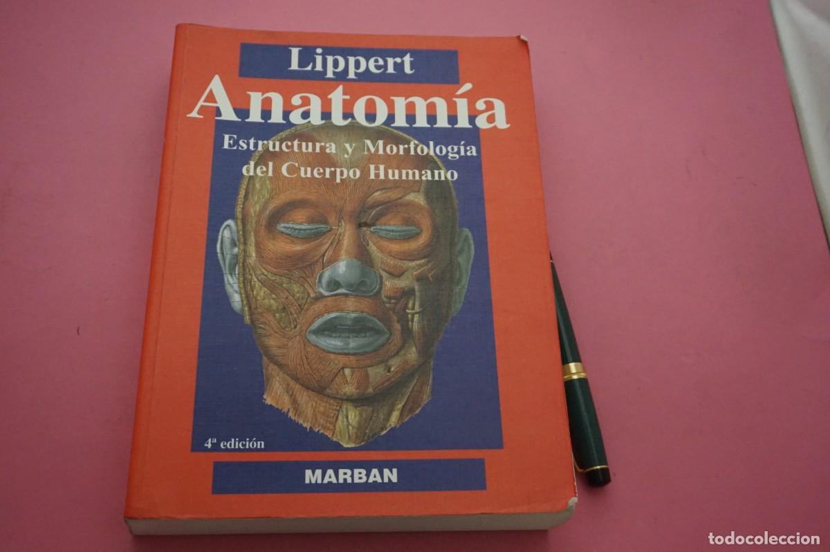 Libros: AMF-34G - ANATOMIA ESTRUCTURA Y MORFOLOGIA DEL CUERPO HUMANO - LIPPERT / MARBAN EDITOR