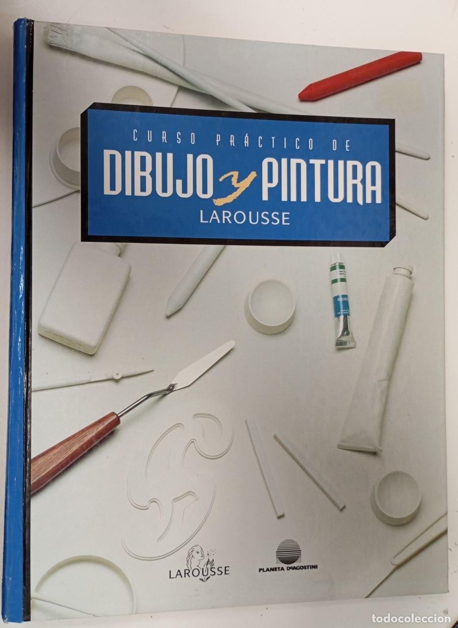 Libros: Curso pr&aacute;ctico de dibujo y pintura - v