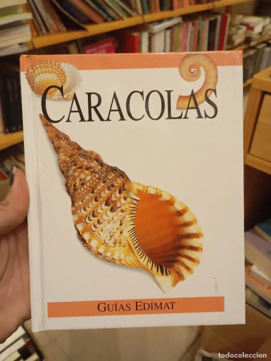 Libros: Caracolas - Varios autores