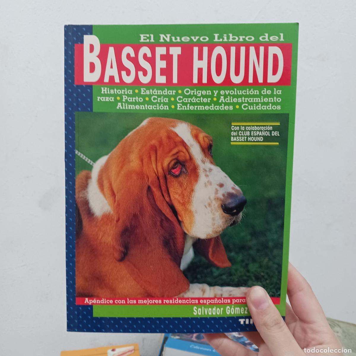 B&uuml;cher: El nuevo libro del basset hound - Salvador G&oacute;mez-Toldr&aacute;