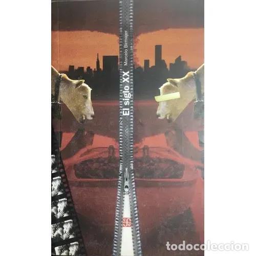 Libros: El siglo XX - Marcelo Birmajer - Foto 1