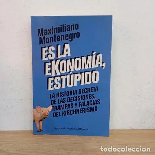 Libri di seconda mano: Es la ekonom&iacute;a, est&uacute;pido - Maximiliano Montenegro