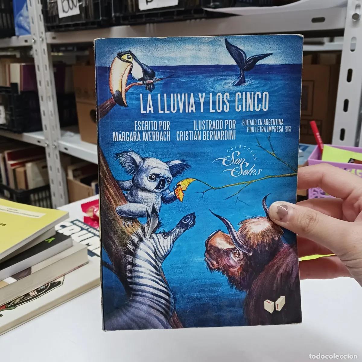Libros: La lluvia y los cinco - Averbach - Foto 1