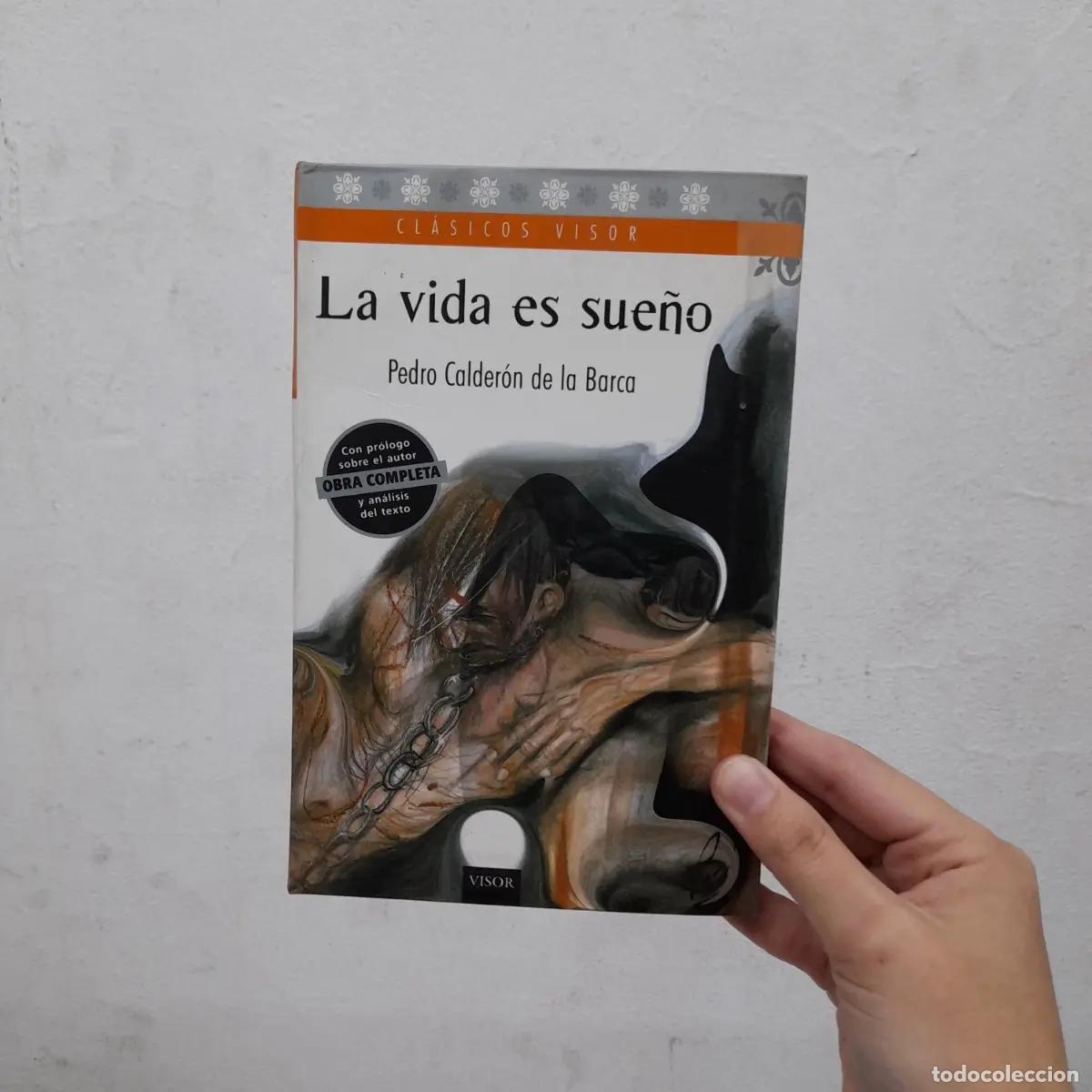 Libros: La vida es sue&ntilde;o - Pedro Calder&oacute;n de la Barca - Foto 1