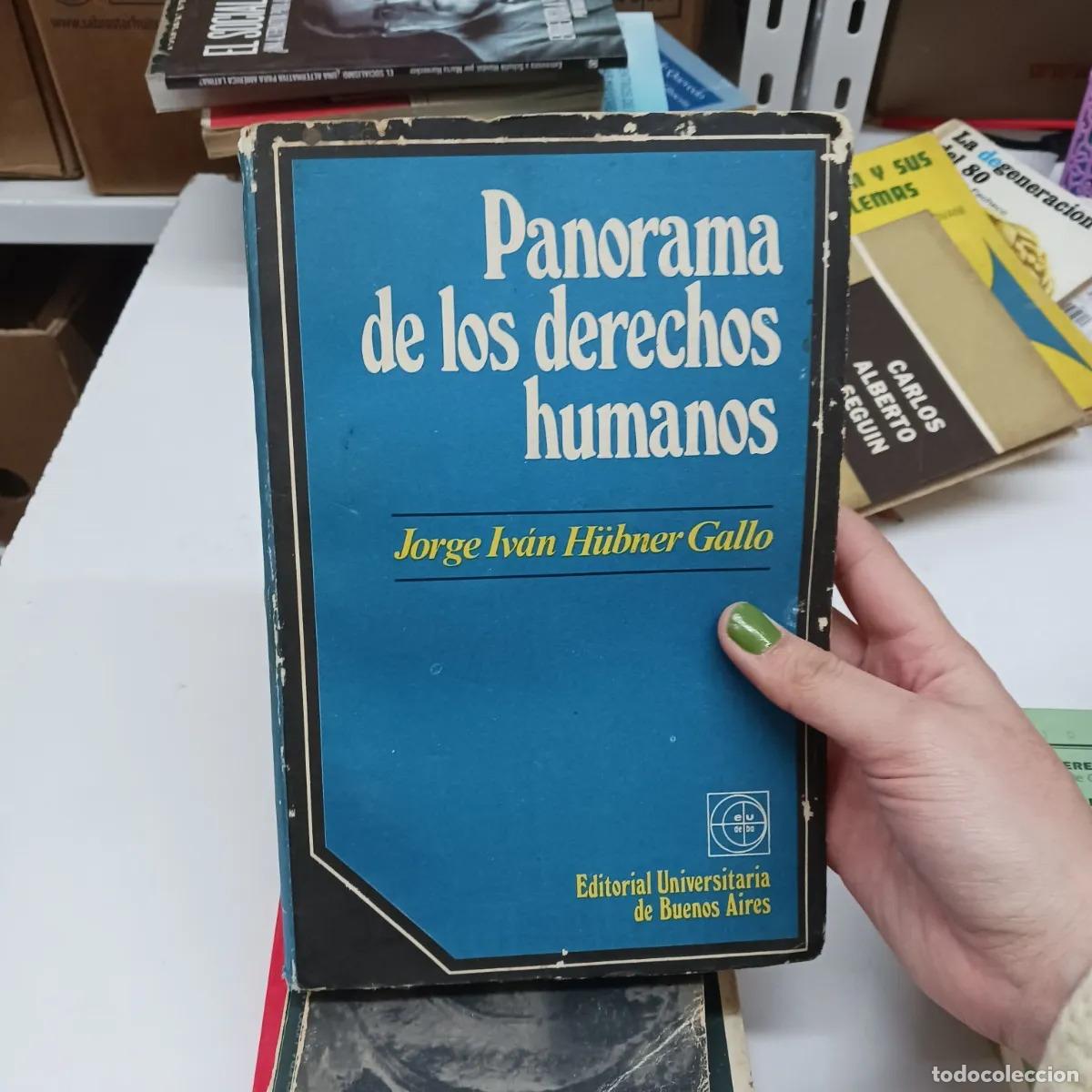 Libri di seconda mano: Panorama de los derechos humanos - Jorge Ivan Hubner Gallo