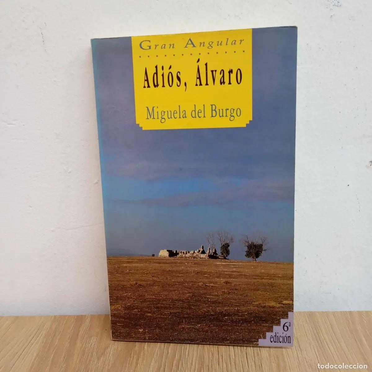 Libros: Adi&oacute;s, &Aacute;lvaro - Miguela del Burgo - Foto 1