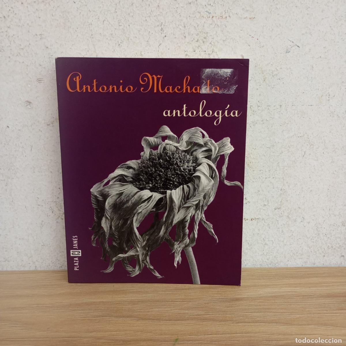 Libros: Antolog&iacute;a - Antonio Machado - Foto 1