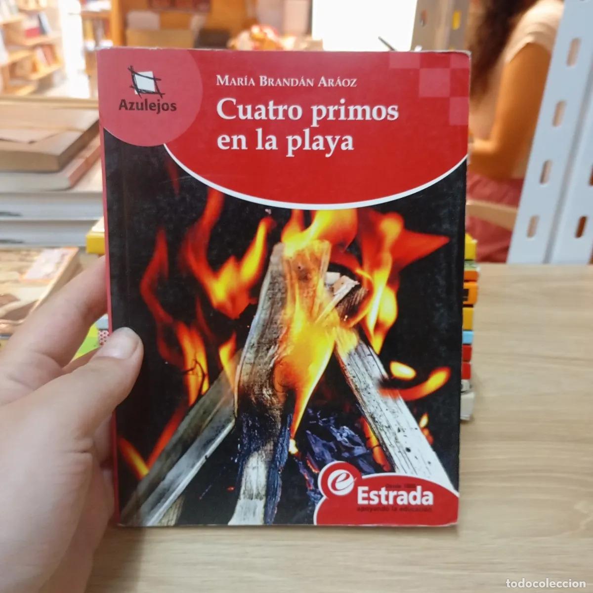 Libros: Cuatro primos en la playa - Mar&iacute;a Brand&aacute;n Ar&aacute;oz - Foto 1