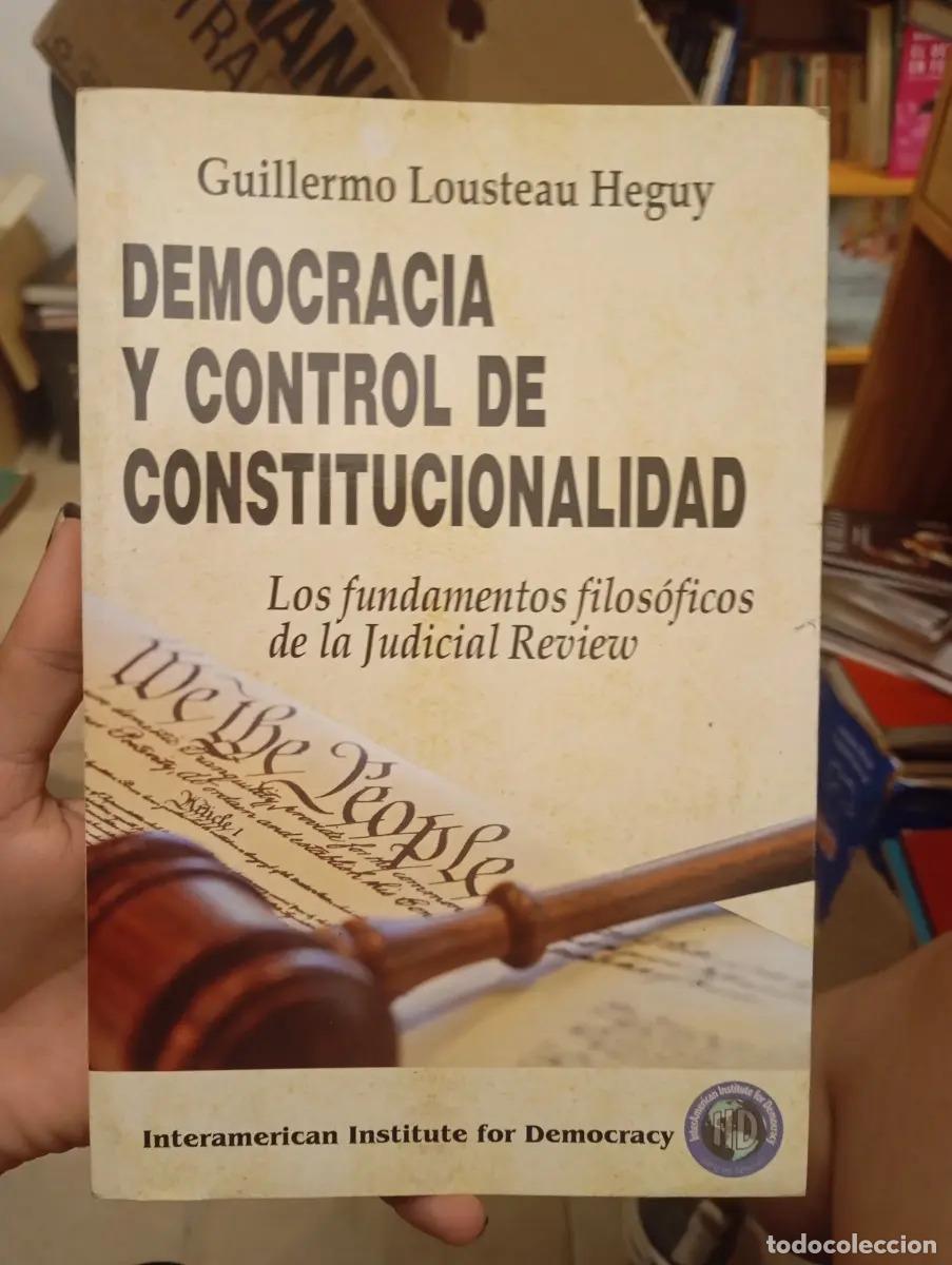 Libros: Democracia y control de constitucionalidad - Lousteau Heguy - Foto 1