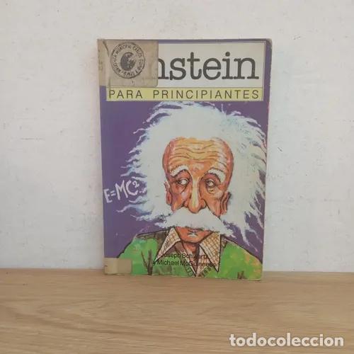 Libros: Einstein para principiantes - VVAA - Foto 1