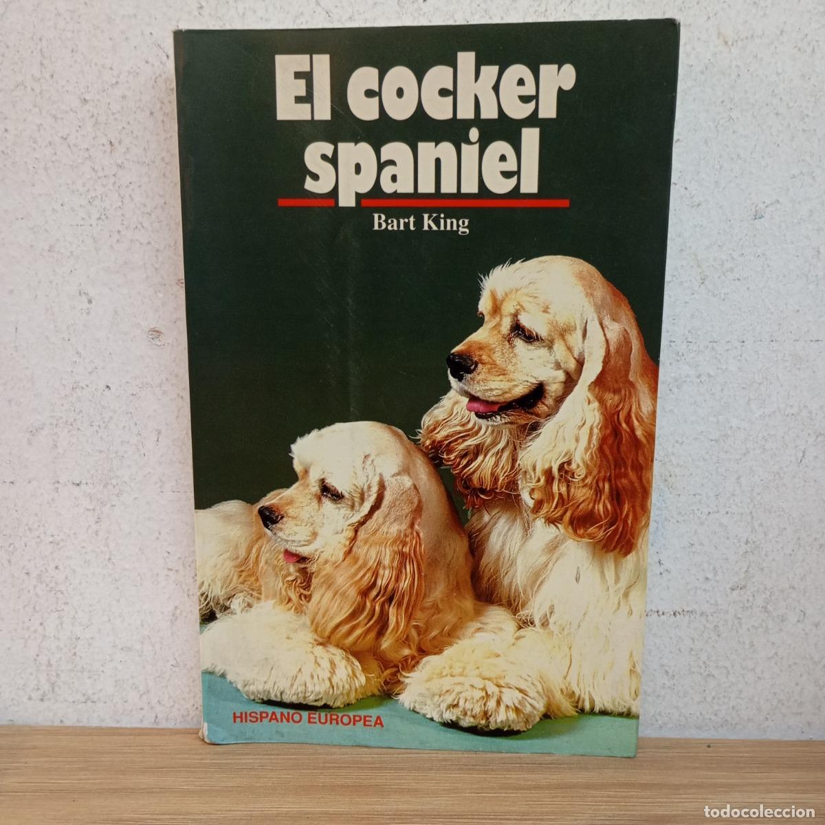 Libros: El cocker spaniel - Bart King - Foto 1