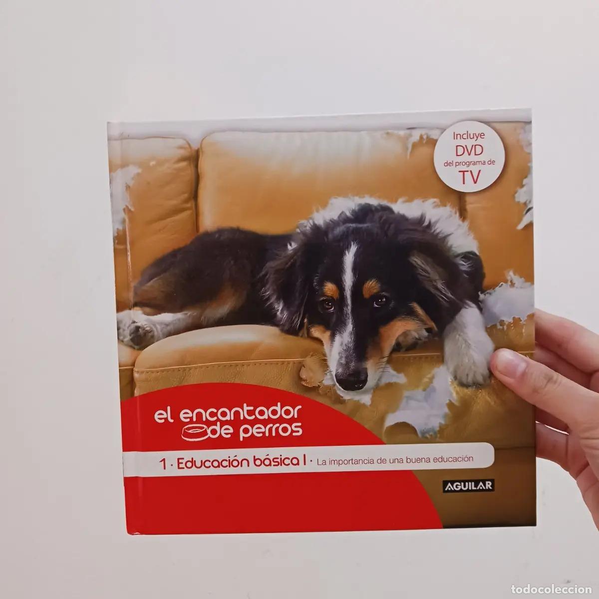 Livros em segunda m&atilde;o: El encantador de perros - VVAA
