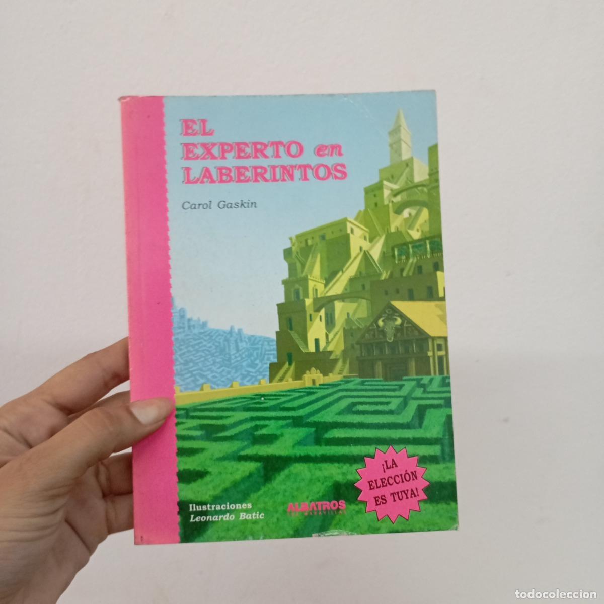 Libros: El experto en laberintos - Carol Gaskin - Foto 1