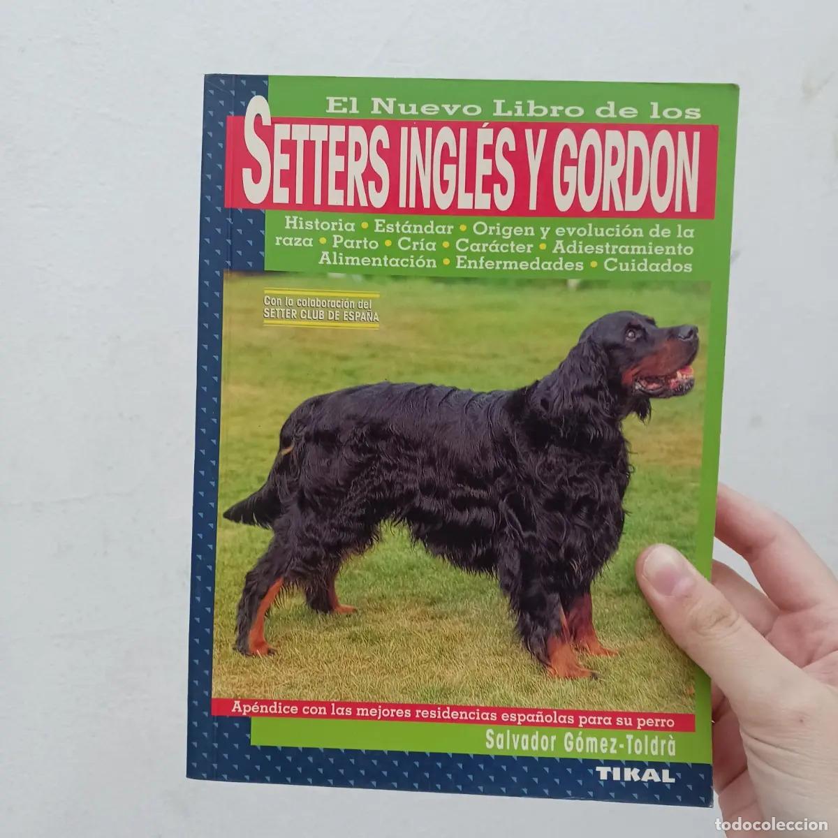 books: El nuevo libro de los setters ingl&eacute;s y gordon - Salvador Gomez-Toldra