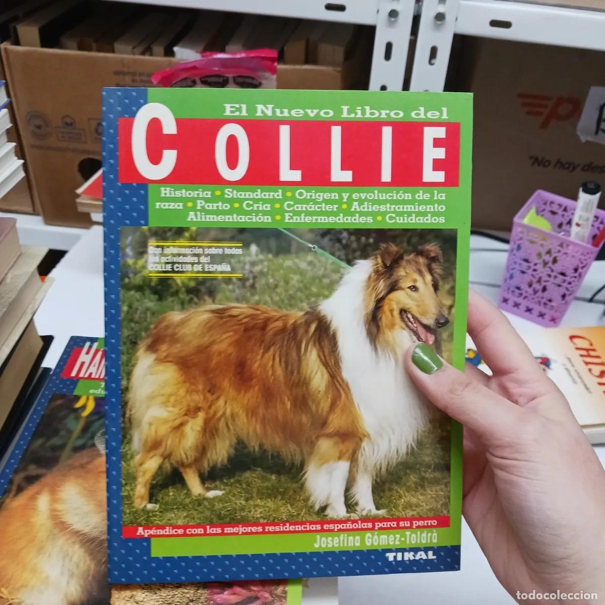 Libros: El nuevo libro del Collie - Josefina Gomez-Toldra - Foto 1