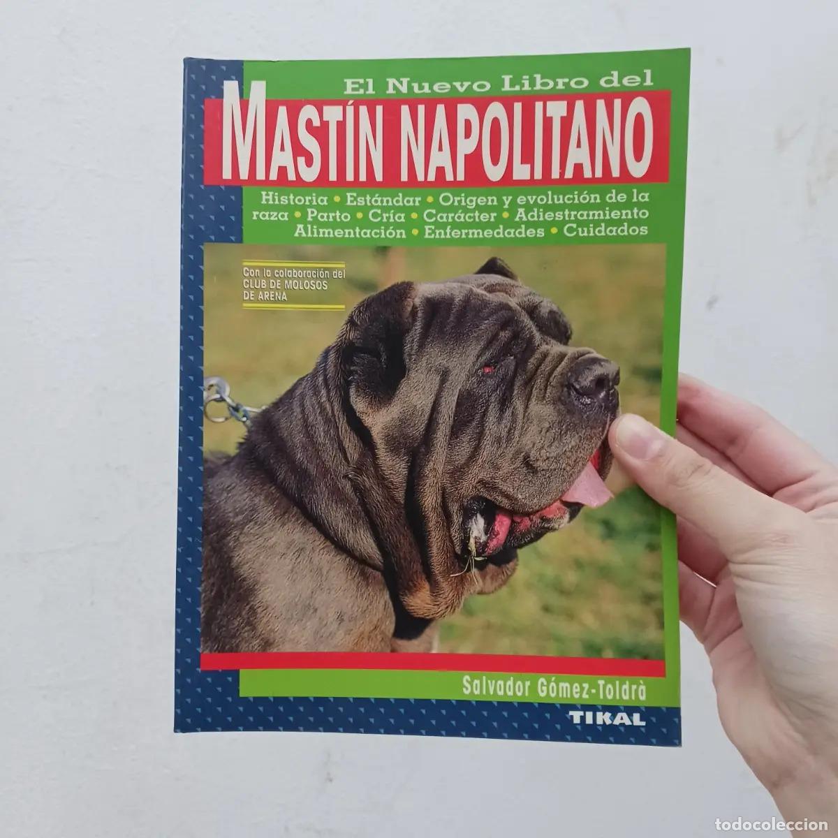 Libri di seconda mano: El nuevo libro del mast&iacute;n napolitano - Salvador Gomez-Toldra