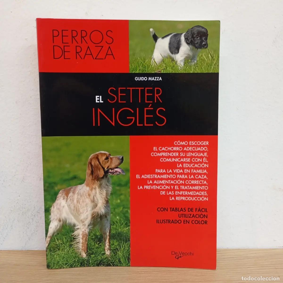 B&uuml;cher: El setter ingl&eacute;s - Guido Mazza