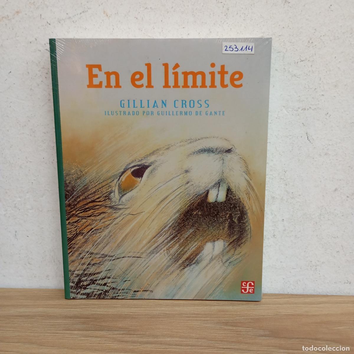 Libros: En el l&iacute;mite - Gillian Cross - Foto 1