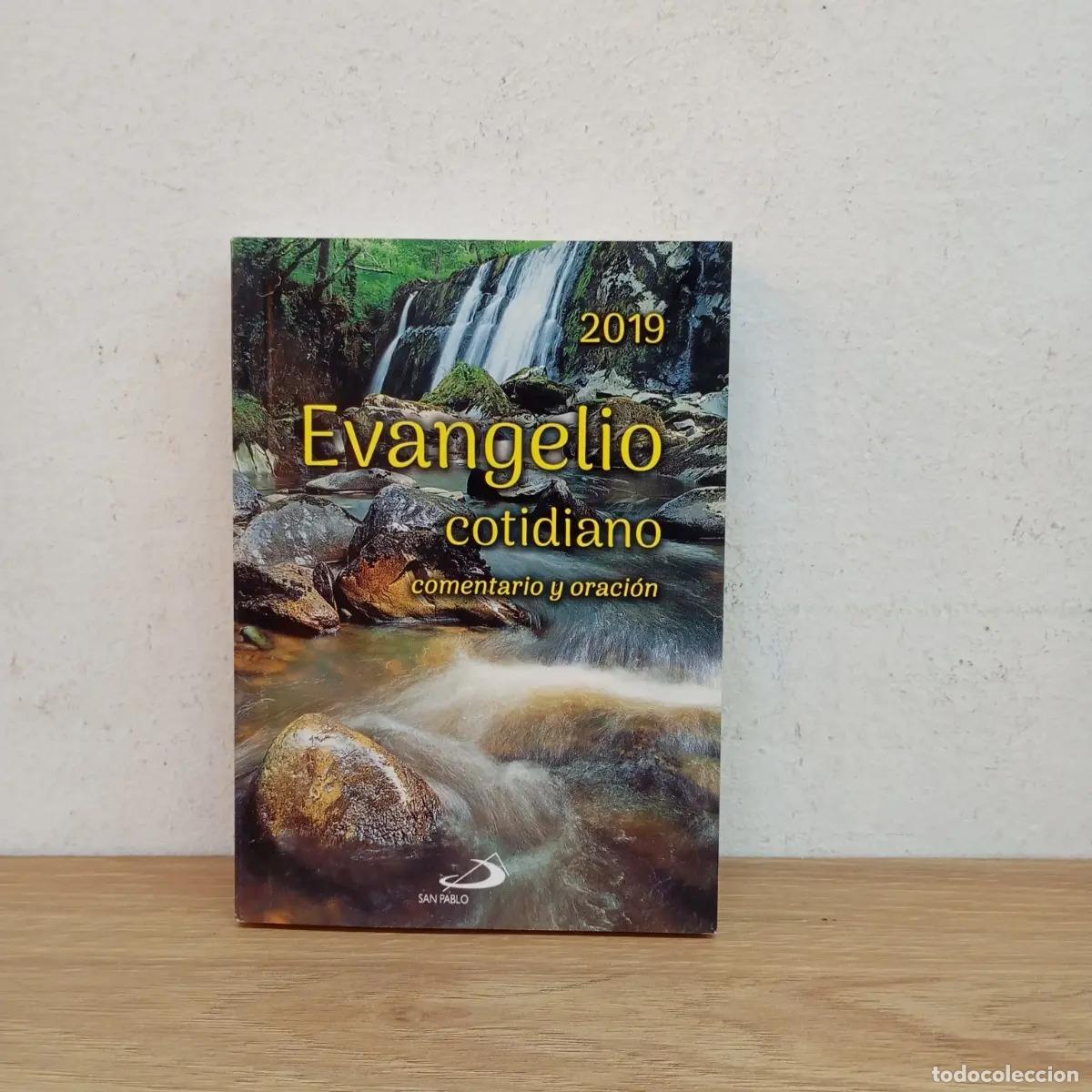 Livres: Evangelio cotidiano 2019 - Domingo D. Tibaldo