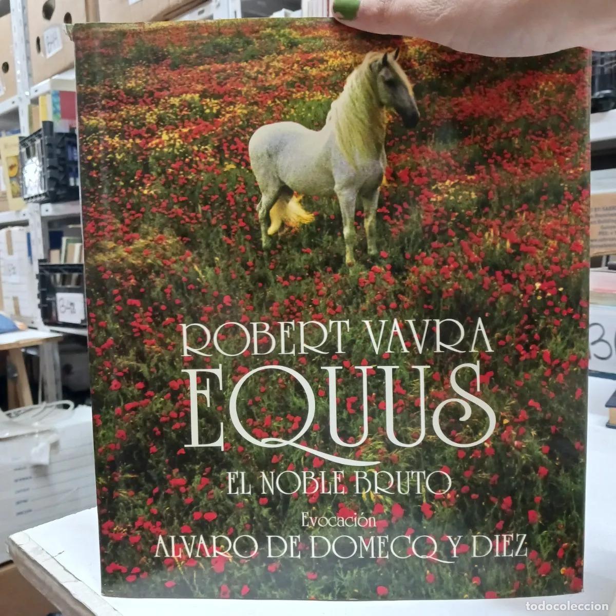 Libros: Equues: el nombre bruto - Robert Vavra - Foto 1