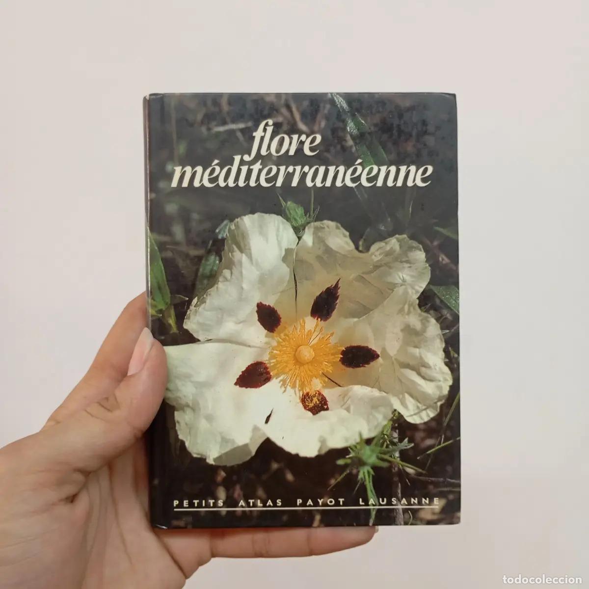 Libri di seconda mano: Flore m&eacute;diterran&eacute;enne - H. Reisigl, O. Danesch