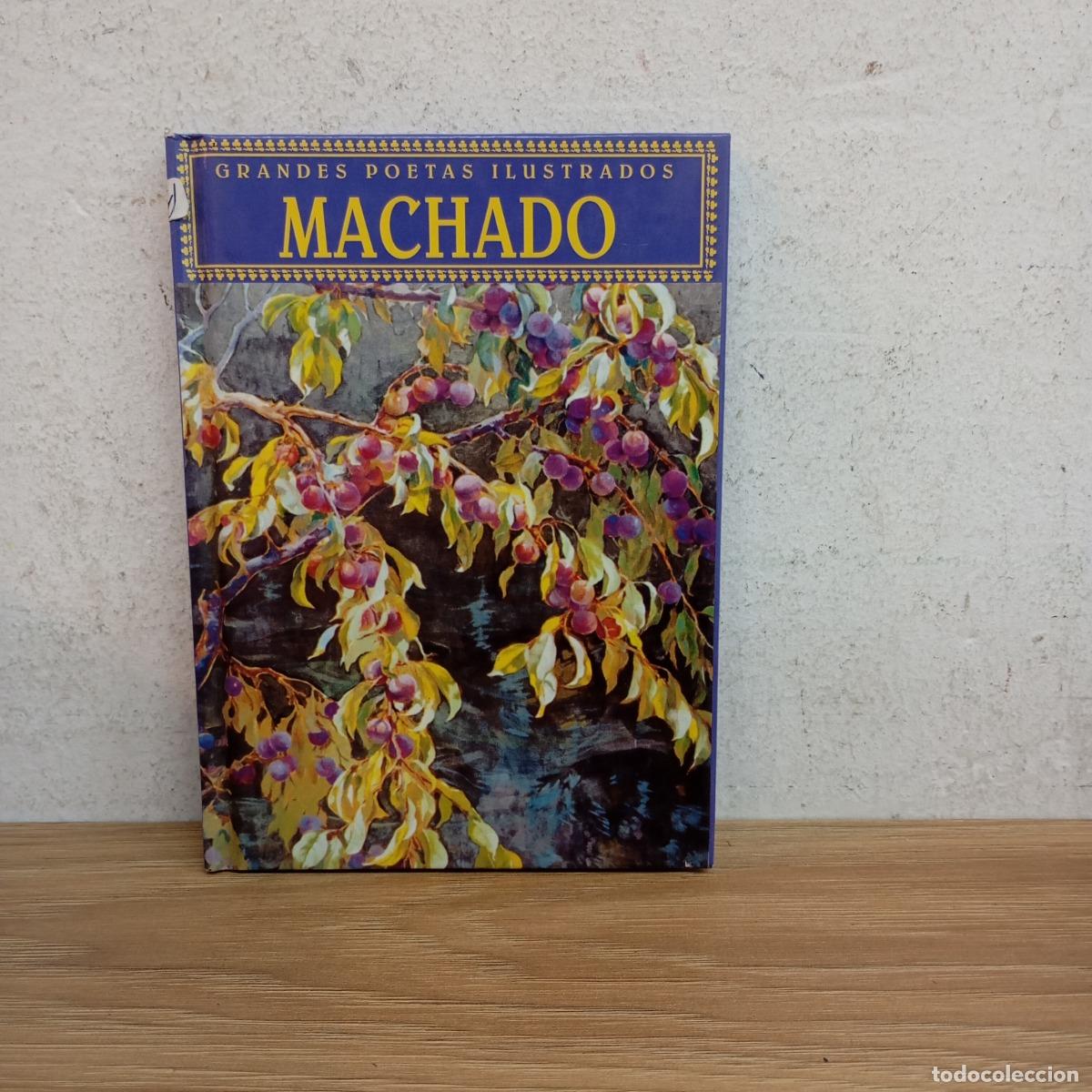 Libros: Grandes poemas ilustrados - Machado - Foto 1