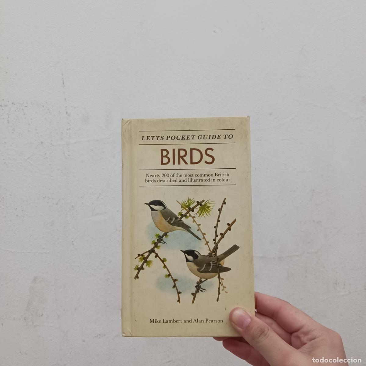 Libros: Guide to birds - Mike Lambert, Alan Pearson - Foto 1