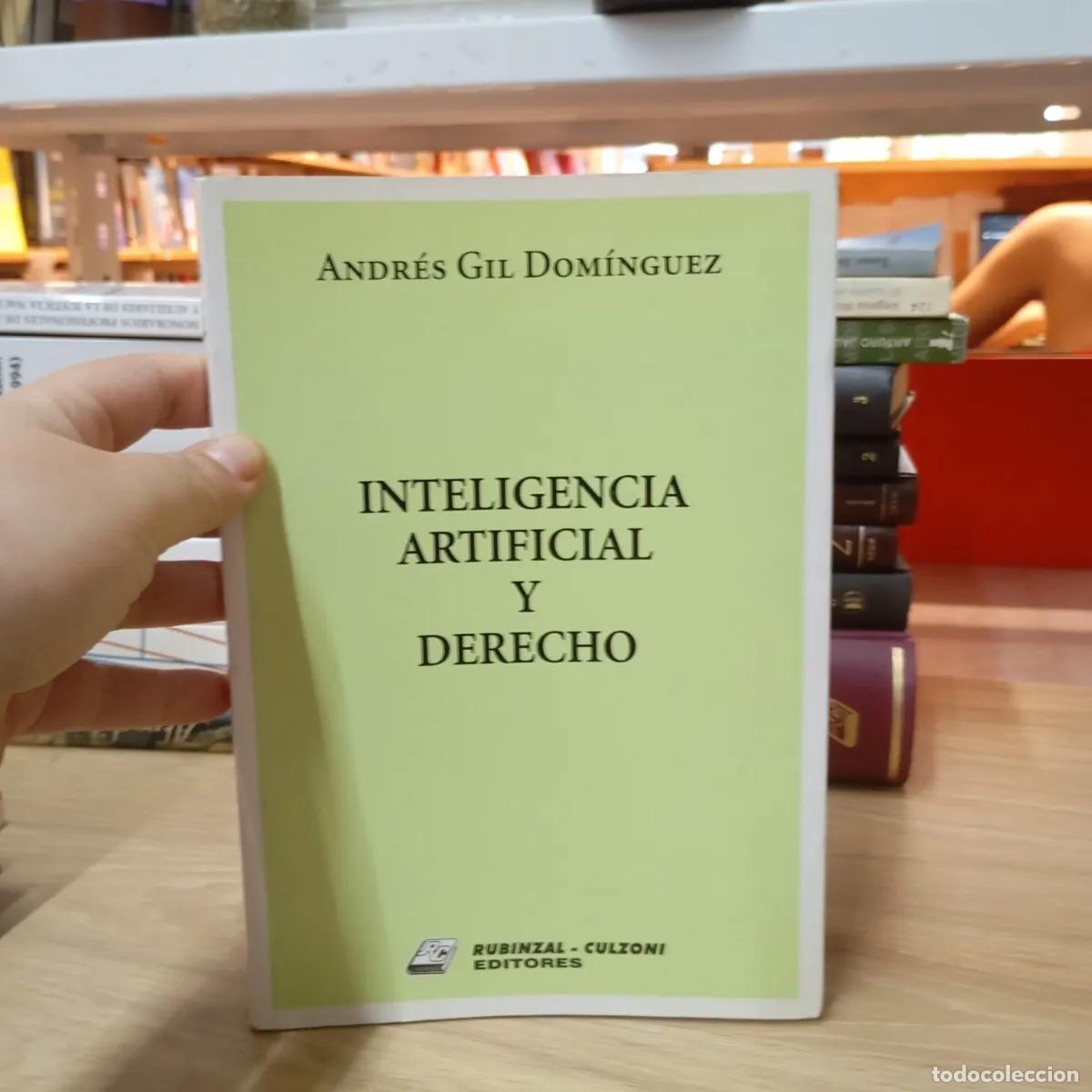 Libros: Inteligencia artificial y derecho - Andr&eacute;s Gil Dom&iacute;nguez - Foto 1