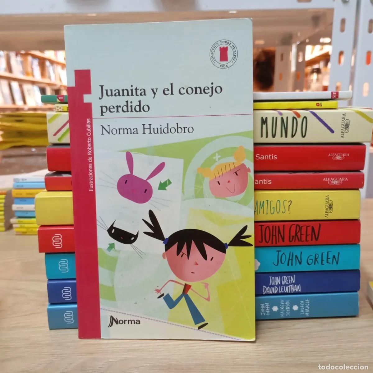 Libri di seconda mano: Juanita y el conejo perdido - Norma Huidobro