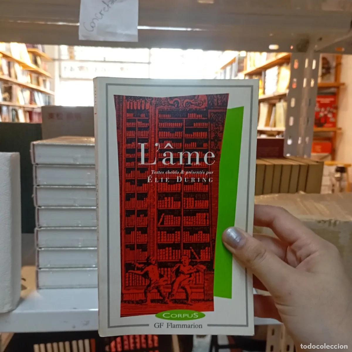 Libros: Lame - Ellie During - Foto 1