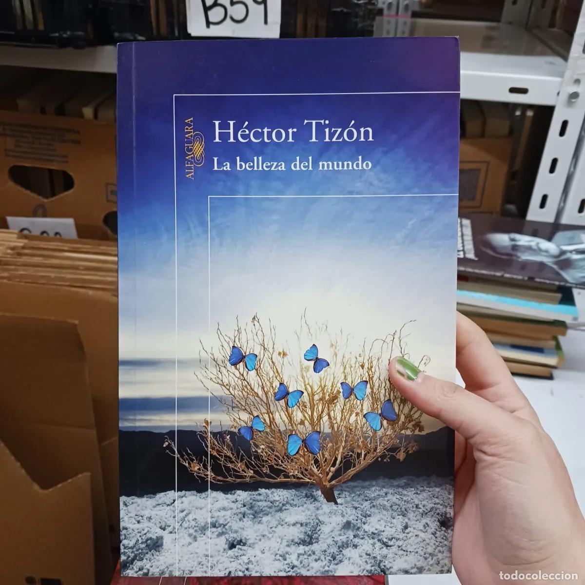 Libri di seconda mano: La belleza del mundo - Hector Tizon