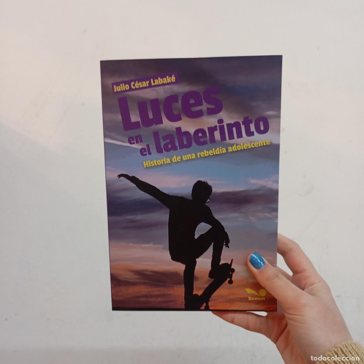 Libros: Luces en el laberinto - Julio Cesar Labake