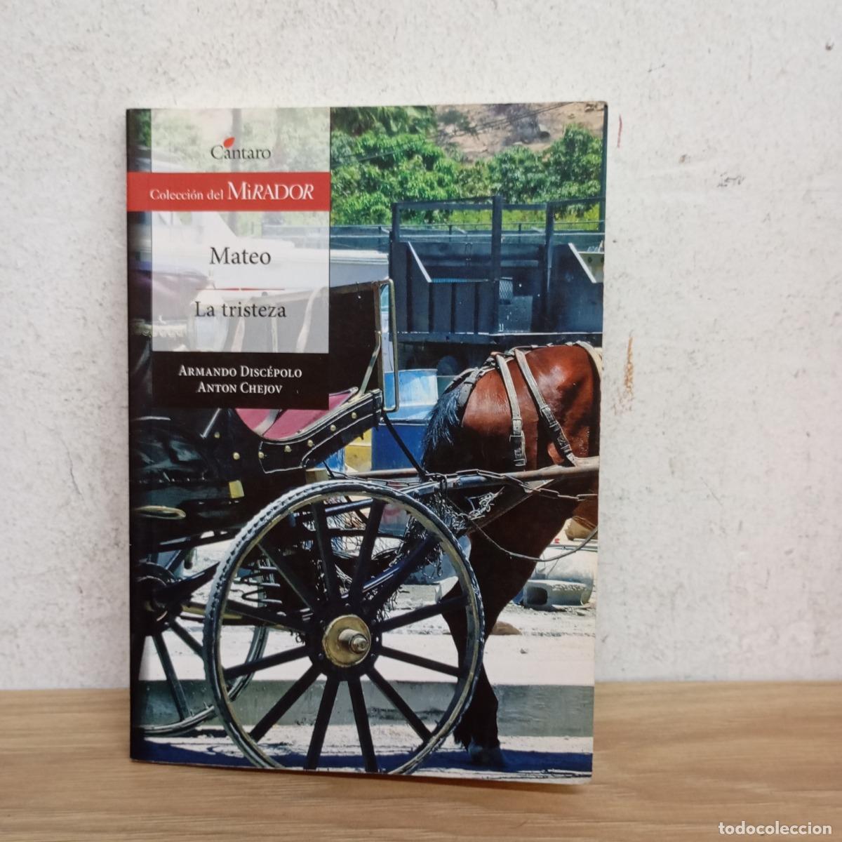 Livros em segunda m&atilde;o: Mateo, La tristeza - Disc&eacute;polo, Ch&eacute;jov