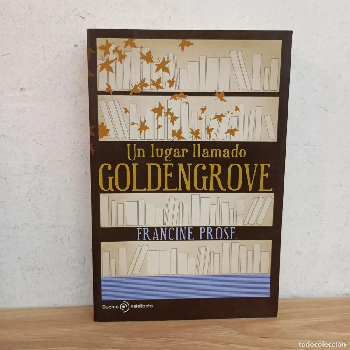 Libri di seconda mano: Un lugar llamado Goldengrove - Francine Prose